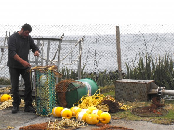 Hummerfallen vorbereiten. Hummerfischen ist die Hauptbranche auf Tristan da Cunha Hummerfallen vorbereiten. Hummerfischen ist die Hauptbranche auf Tristan da Cunha