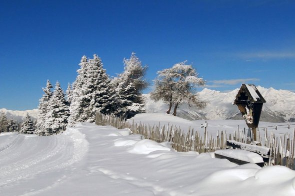 Schneeschuhwandern Südtirol Winter auf der Rodenecker Alm - Eisacktal - Südtirol Schneeschuhwandern Südtirol Winter auf der Rodenecker Alm - Eisacktal - Südtirol