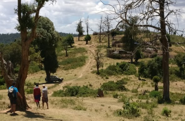 Da durch das Bevölkerungswachstum immer mehr Manyattas entstehen und die Menschen Feuerholz zum Kochen und zum Heizen in den kühlen Nächten auf 2000 Meter Höhe brauchen, sind große Teile des Waldes abgeholzt. Kenia Da durch das Bevölkerungswachstum immer mehr Manyattas entstehen und die Menschen Feuerholz zum Kochen und zum Heizen in den kühlen Nächten auf 2000 Meter Höhe brauchen, sind große Teile des Waldes abgeholzt. Kenia