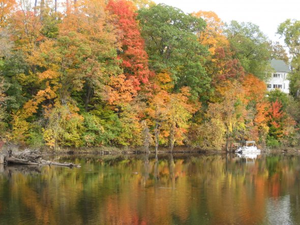 Herbstfarben, Fall Colors Taken near the island park in Grand Ledge, Michigan.USA Herbstfarben, Fall Colors Taken near the island park in Grand Ledge, Michigan.USA
