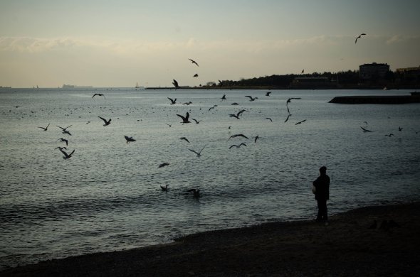 Traumhaft schön: Am Bosporus stehen und den Klängen der Möwen zuhören... Traumhaft schön: Am Bosporus stehen und den Klängen der Möwen zuhören...