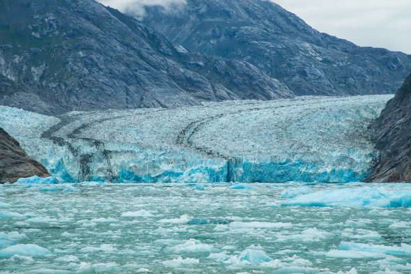 Teil dieser Tour von Tokio (Yokohama) nach Seattle ist auch der Besuch des Endicott Arm Dawes Gletscher in Alaska. Teil dieser Tour von Tokio (Yokohama) nach Seattle ist auch der Besuch des Endicott Arm Dawes Gletscher in Alaska.
