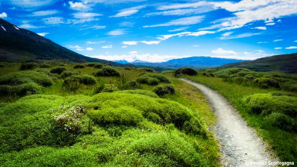W Trekking im Nationalpark Torres Del Paine, Chile, Patagonien. W Trekking im Nationalpark Torres Del Paine, Chile, Patagonien.