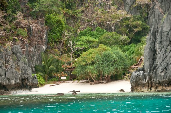 Urwald bis zum Strand, Miniloc Insel, Philippinen Urwald bis zum Strand, Miniloc Insel, Philippinen