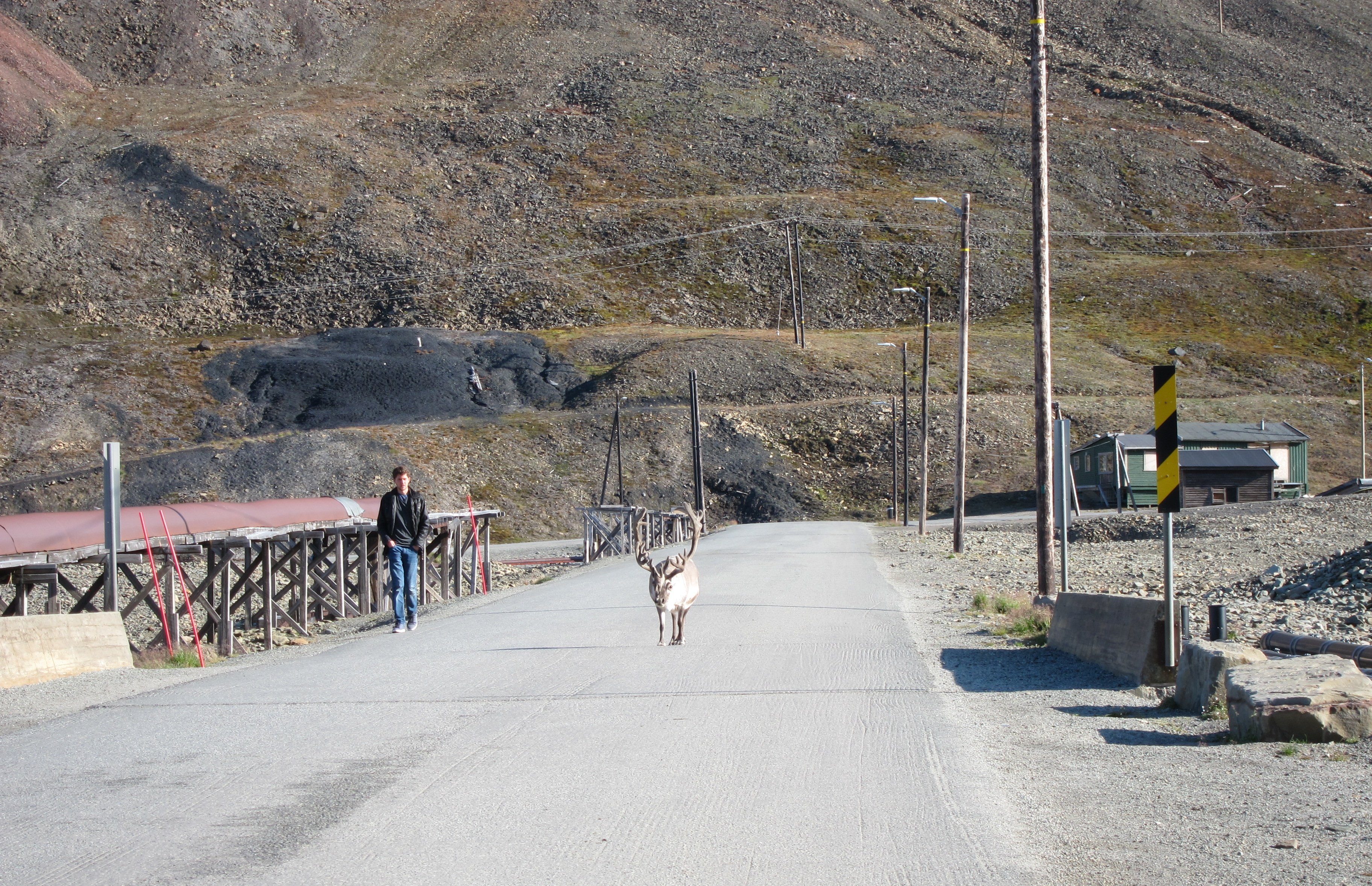 Svalbard Renteir Longyearbyen. Svalbard Renteir Longyearbyen.
