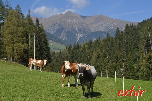 Dolomitenidylle in Südtirol bei Bolzano/Bozen. Foto