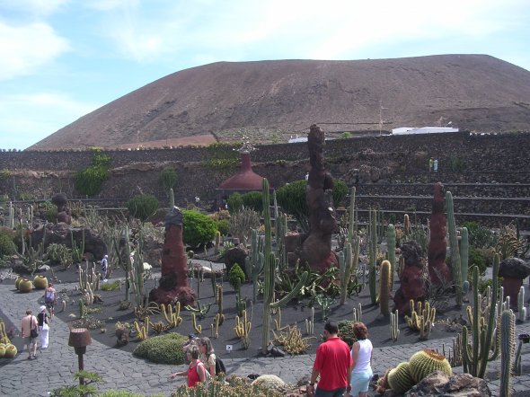 Kakteengarten auf Lanzarote,Spanien