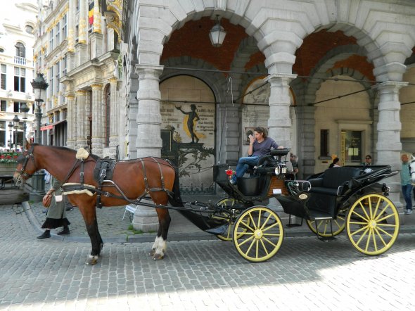 Pferdekutsche in Brüssel Belgien