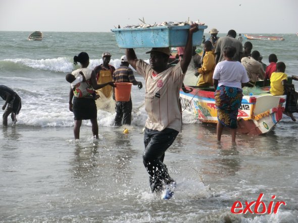 Anlandung der Fischerboote in Bakau, Gambia. Foto: Wolfgang Hesseler Anlandung der Fischerboote in Bakau, Gambia. Foto: Wolfgang Hesseler
