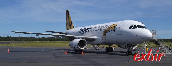 Der Airbus A 320 von Tiger Airways bei der Erstlandung in Coffs harbour. Foto: Maskos Der Airbus A 320 von Tiger Airways bei der Erstlandung in Coffs harbour. Foto: Maskos