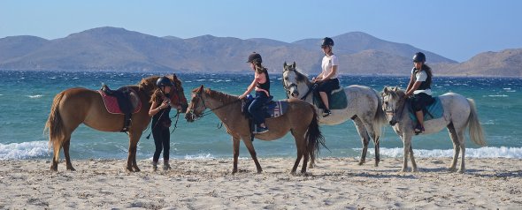 Eine Inseltour über Kos mit Pferden