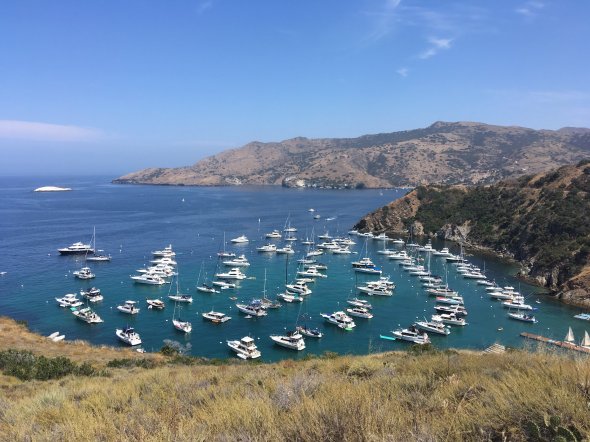 Catalina Island ist eine zu Kalifornien gehörende Insel mit etwa 4.100 Einwohner und ein beliebtes Ziel für viele Kreuzfahrer.