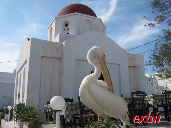 Mykonos. Foto: FlyWolf Mykonos. Foto: FlyWolf