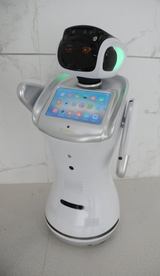 Sanbot service robot