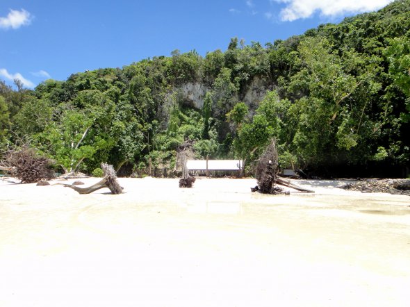 Treibholz am Strand, Palau