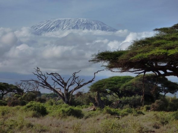 Traumkulisse Kilimandscharo